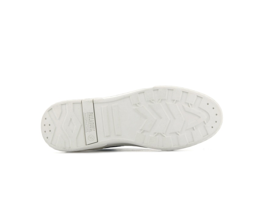 الغرور الأزرق البلاديوم 01 السيرة الذاتية