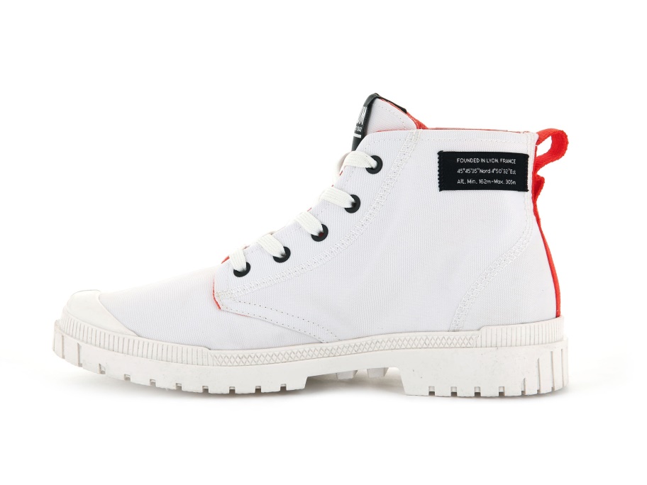 Sp20 تراكب نجمة بيضاء البلاديوم