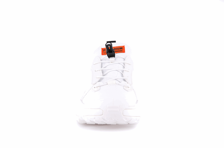 بلاديوم خارج الشبكة لو نجم نيل أبيض