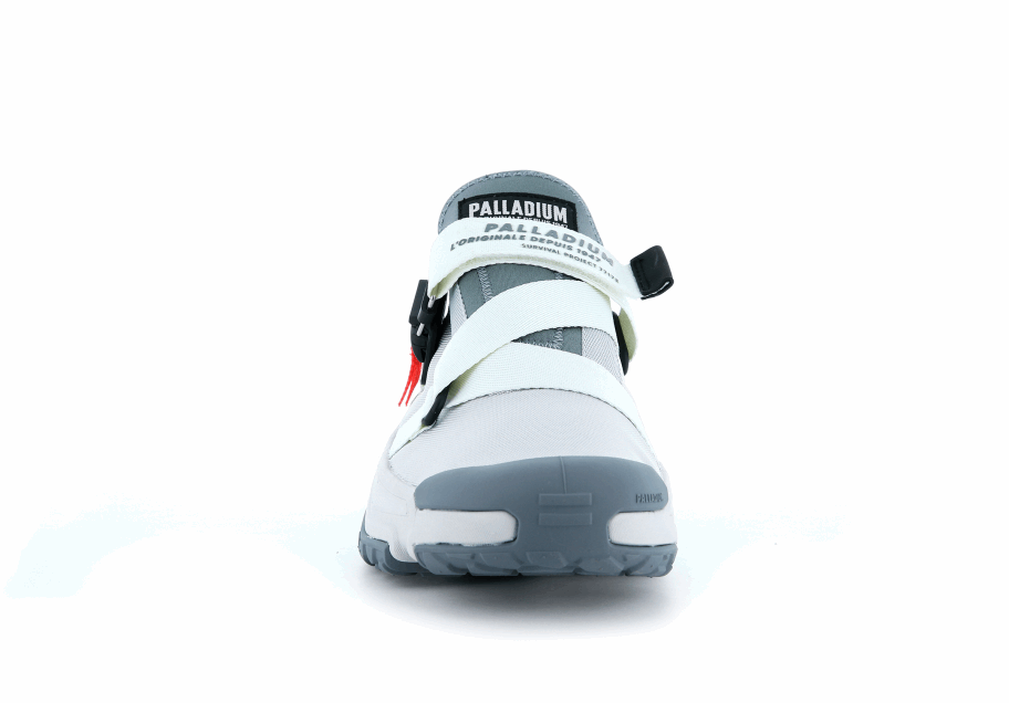 البلاديوم غير متصل بالشبكة لو الرمادي الجليدي