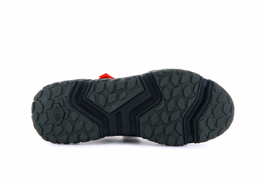 البلاديوم خارج الشبكة لو فائدة زيتون الليل