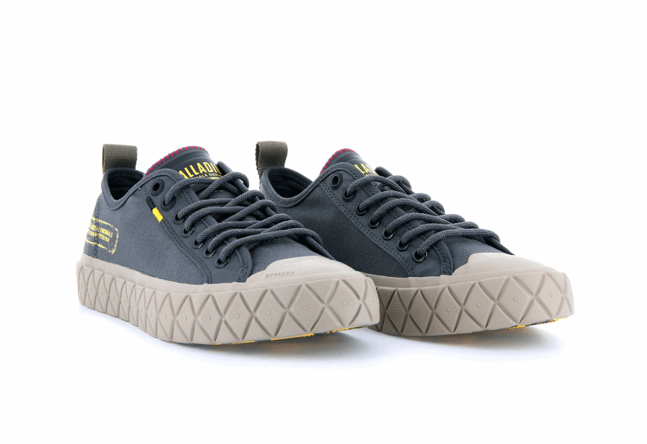 البلاديوم Palla Ace Supply Lo مزورة الحديد