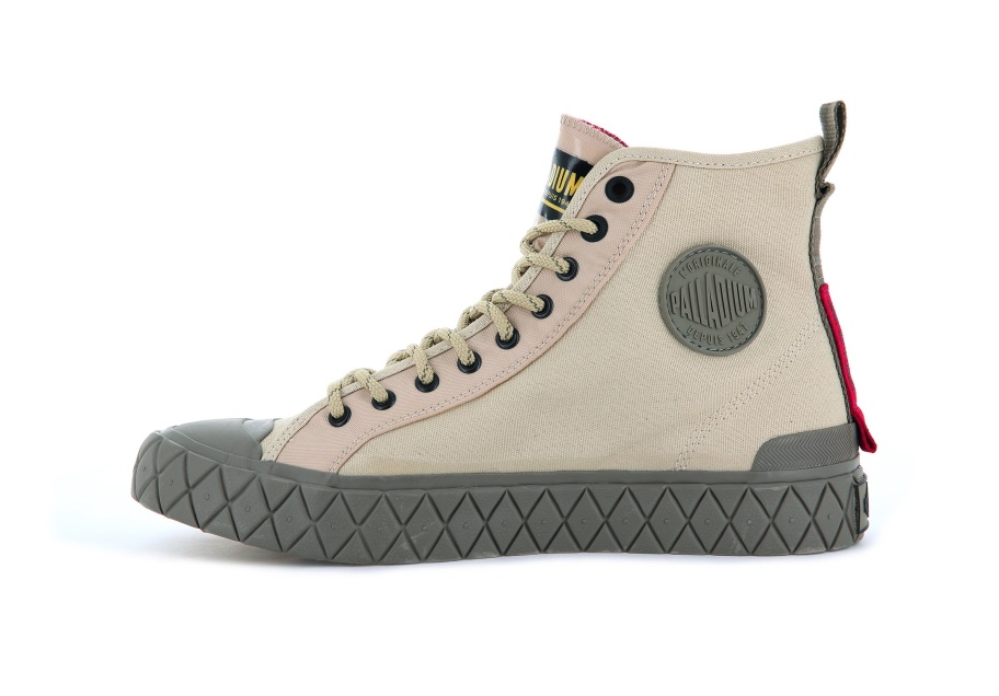 بلاديوم بالا ايس العرض وسط الصحراء