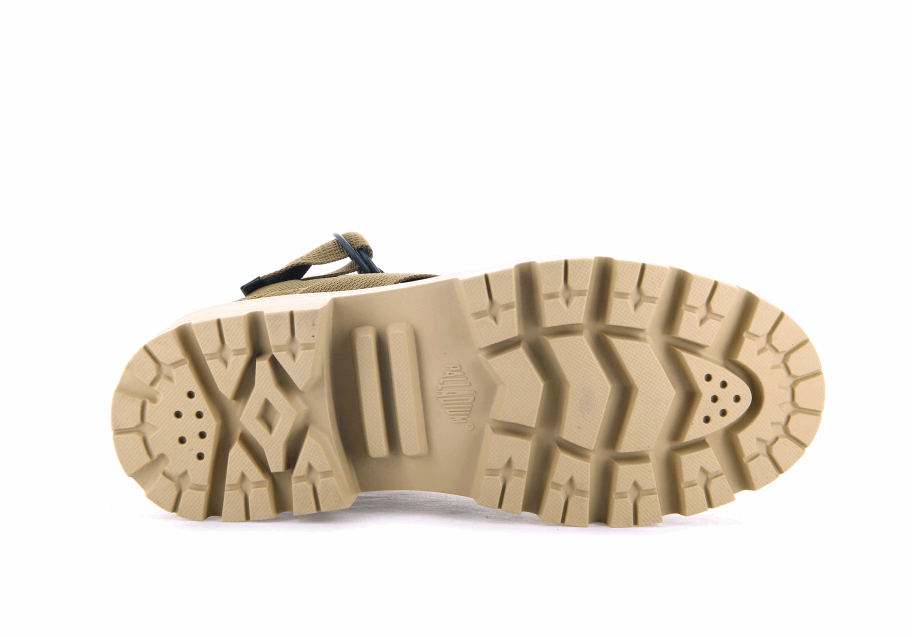 البلاديوم Pallabase تاكت S Tx الزيتون