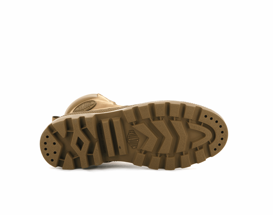 البلاديوم بالابوس Sc Wp S Dear Brown