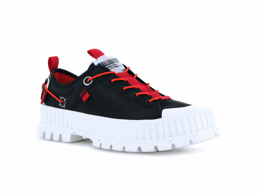 تذكرة لو بالاديوم بالاشوك إلى الأرض السوداء