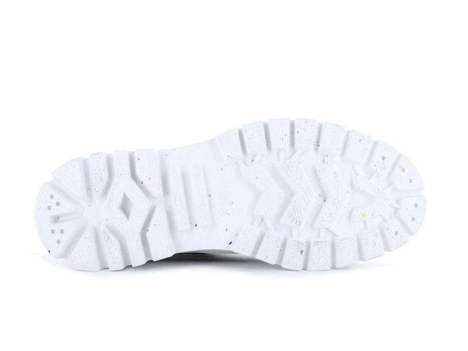 تذكرة لو بالاديوم بالاشوك إلى الأرض السوداء