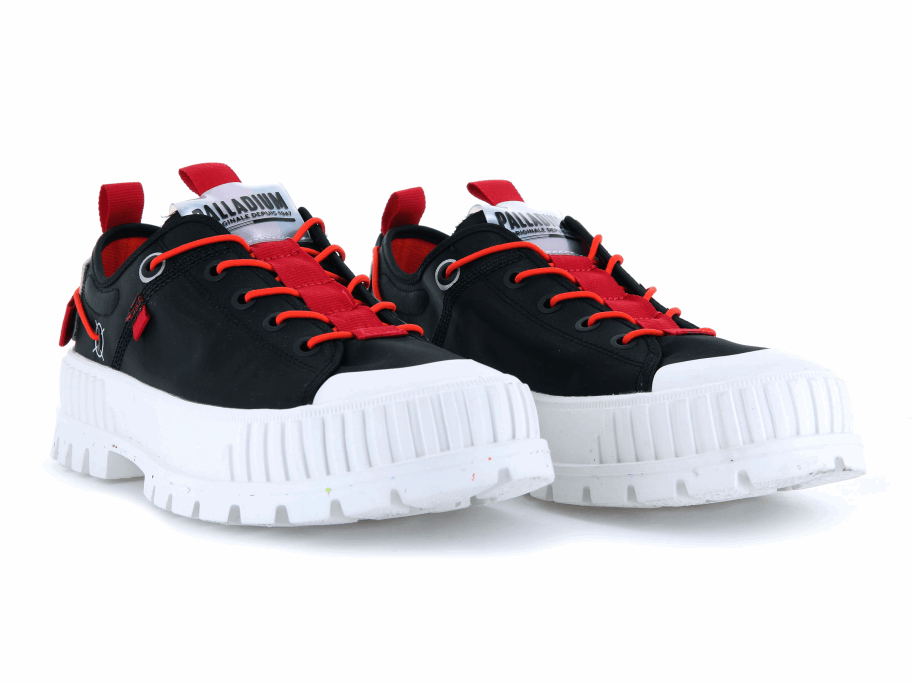 تذكرة لو بالاديوم بالاشوك إلى الأرض السوداء