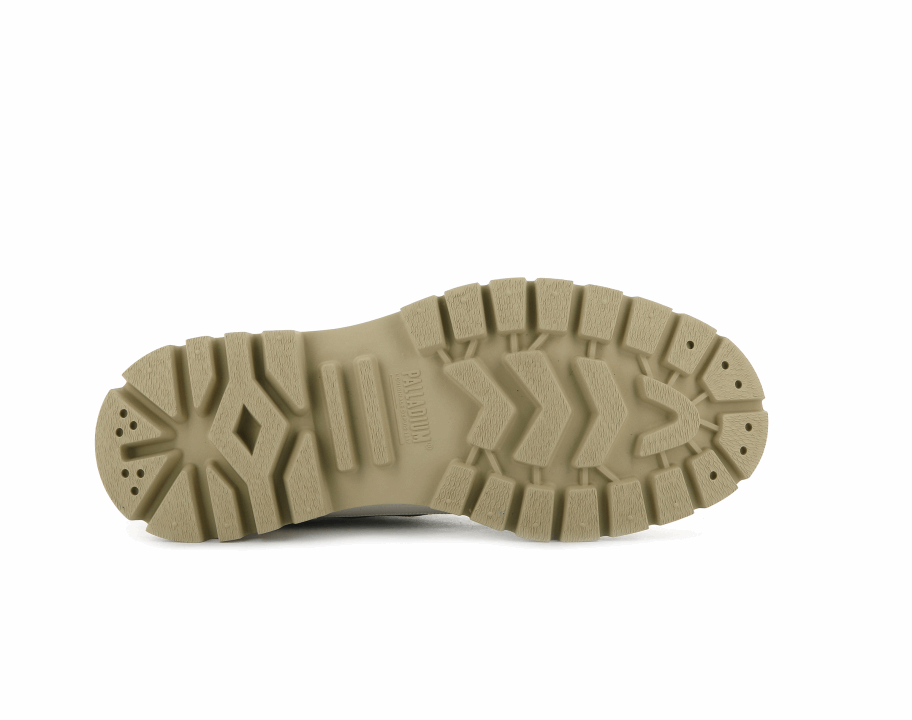 البلاديوم البلاشوك الوسط والزيتون