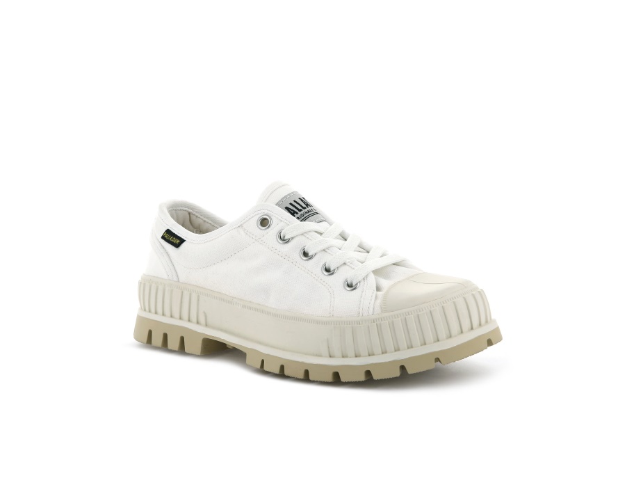 البلاديوم البلاشوك والمارشميلو