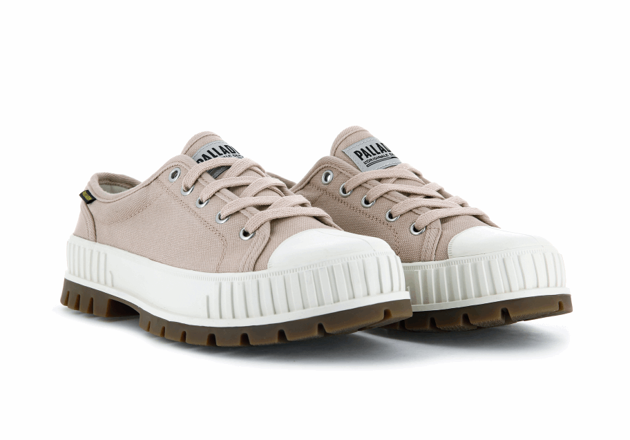 بلاشوك البلاديوم وغبار الورد