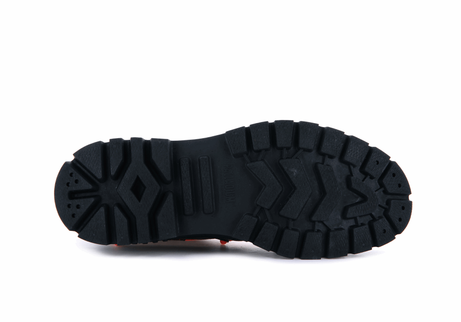 البلاديوم البلاشوك يعيد حرفة الزيتون الليلي