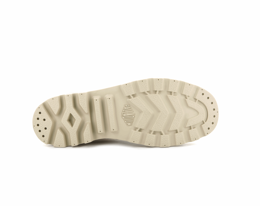 البلاديوم بامبا مرحبا كاثي التوابل