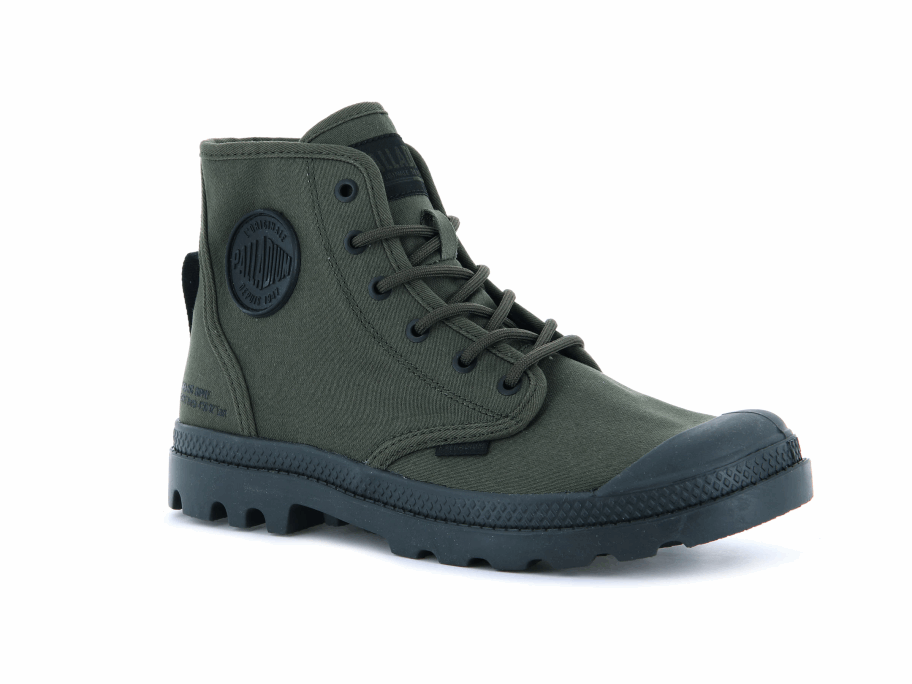 Palladium Pampa Hi Htg توريد زيتون يلة