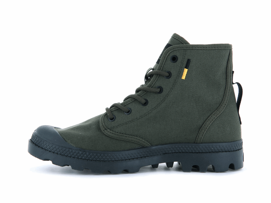 Palladium Pampa Hi Htg توريد زيتون يلة