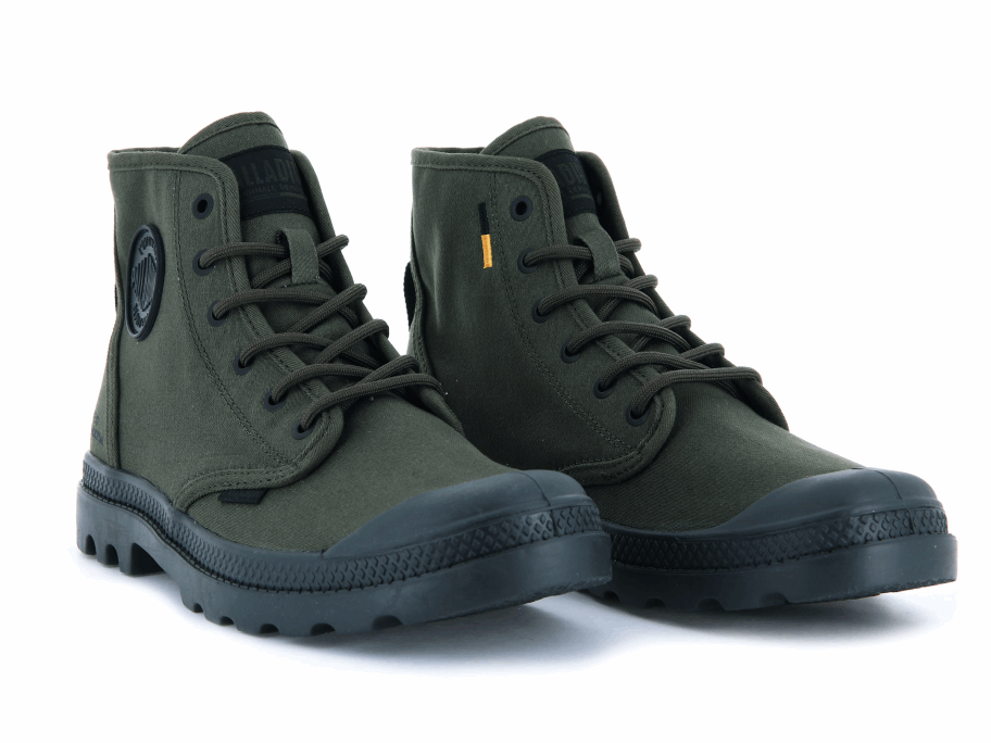 Palladium Pampa Hi Htg توريد زيتون يلة