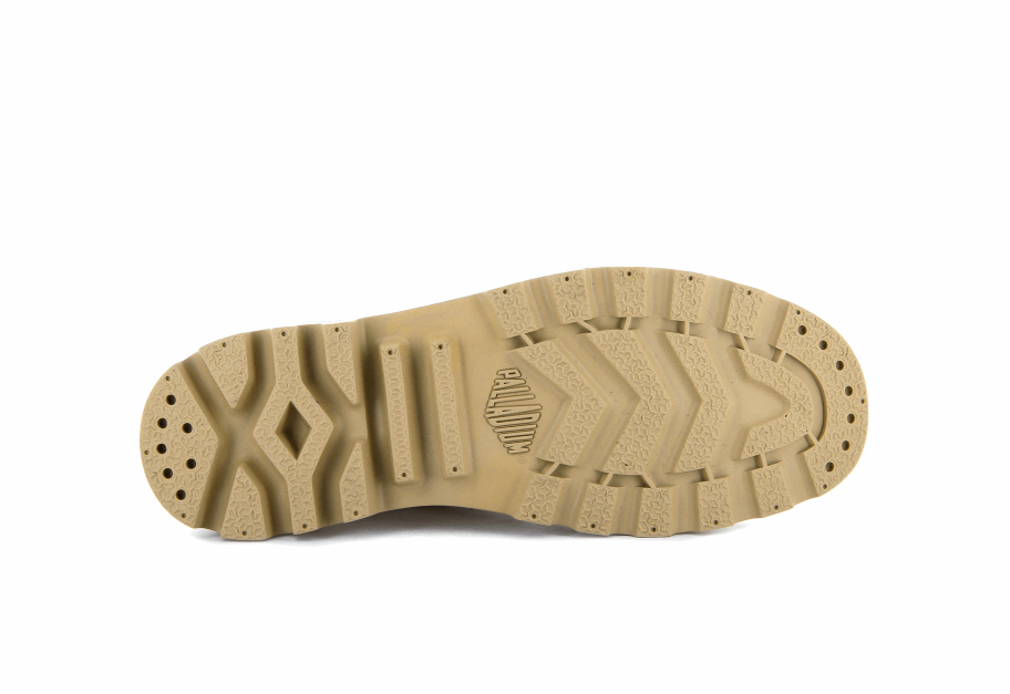 البلاديوم بامبا مرحبا الشمع الصحراء