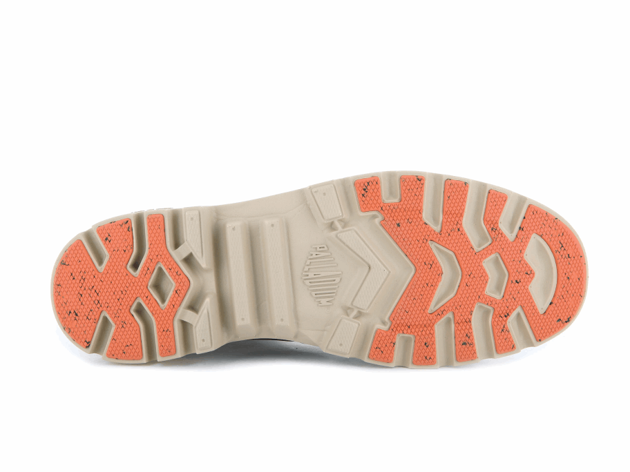 البلاديوم بامبا لايت المحذوفات Wp الزيتون ليل بيلوجا