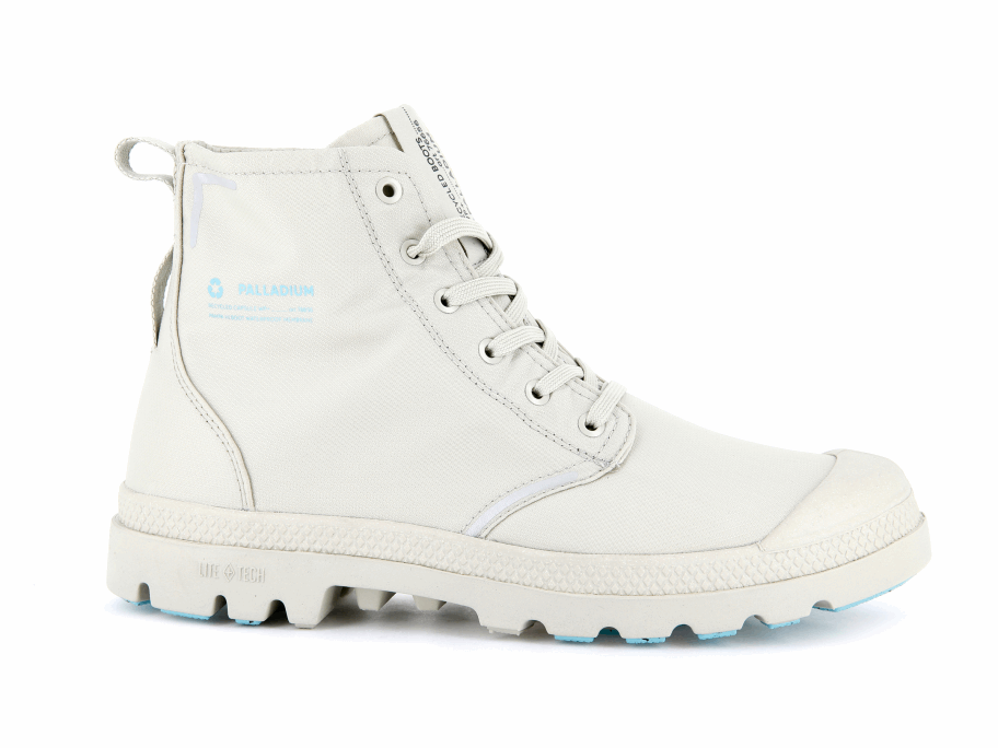 البلاديوم بامبا لايت المحذوفات Wp البيجان البيج