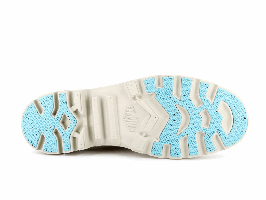 البلاديوم بامبا لايت المحذوفات Wp البيجان البيج