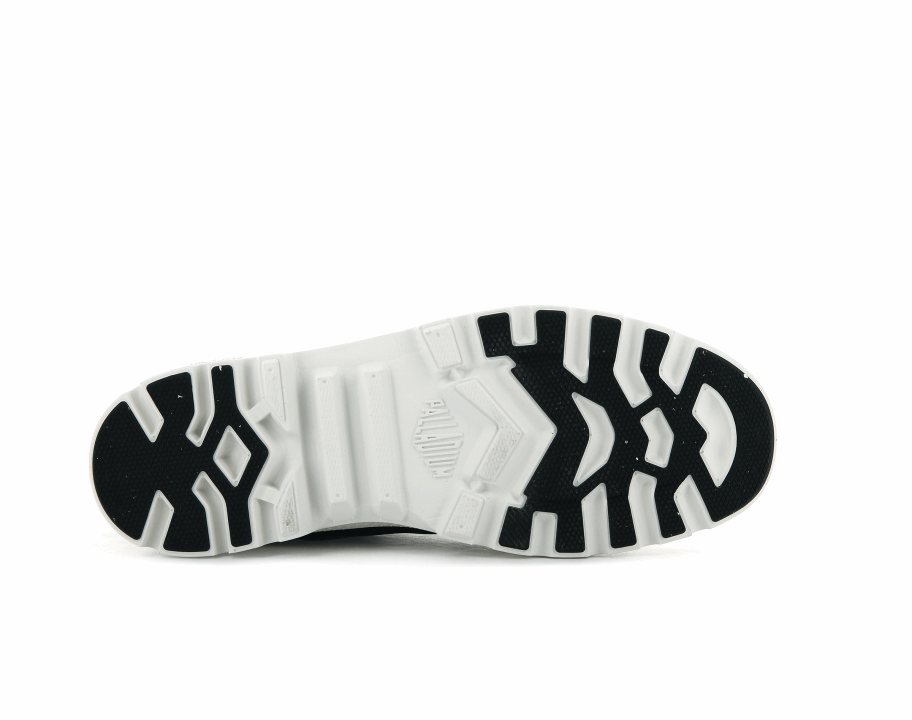 إعادة تدوير البلاديوم بامبا لايت Wp