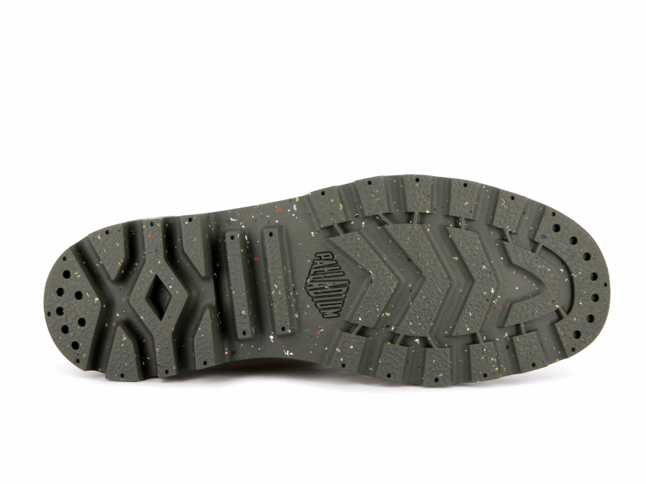 البلاديوم بامبا الصبار العضوي المترو