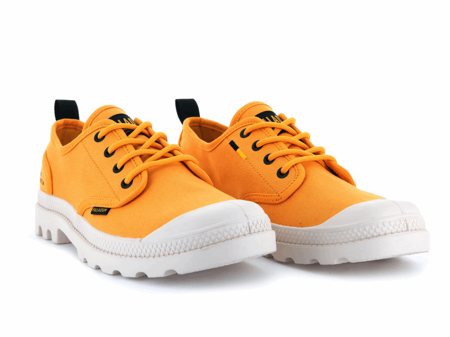 العرض التراثي بالبلاديوم بامبا أكسفورد الخردل الحار