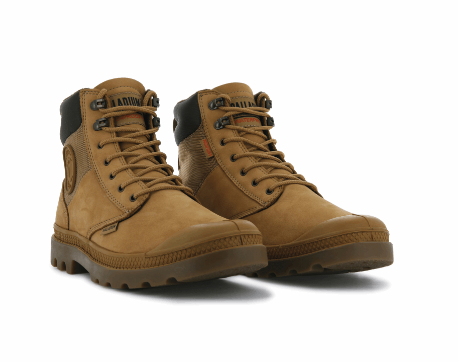 البلاديوم بامبا شيلد Wp لوكس العنبر الذهب