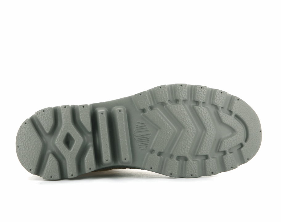 البلاديوم بامبا السفر لايت الصحراء