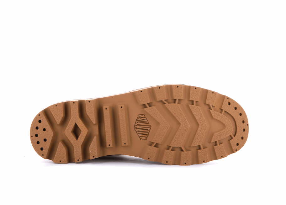 البلاديوم بامبا X القدر Wpn البني العزيز