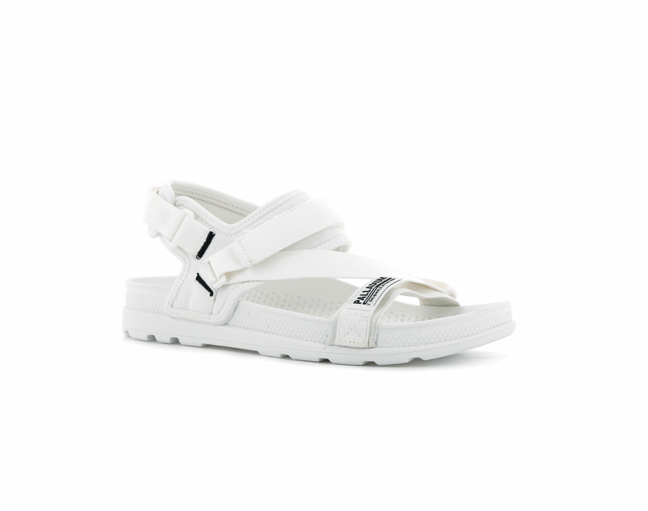 بلاديوم سولا 2.0 نجمة بيضاء