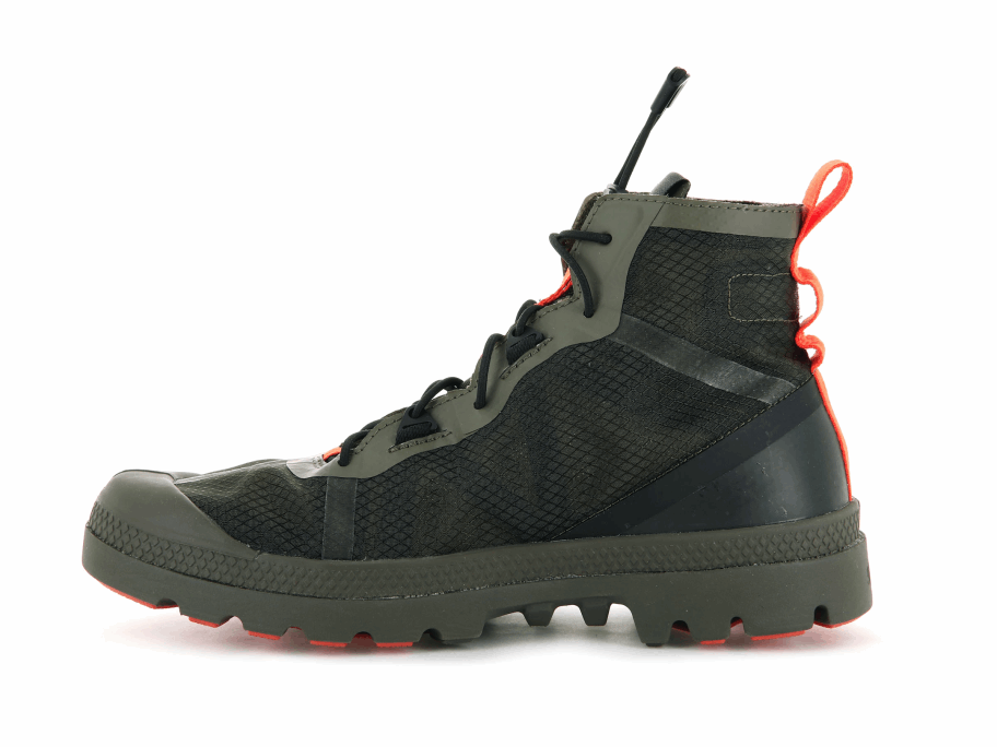 البلاديوم السفر لايت مغامرة الزيتون ليلة