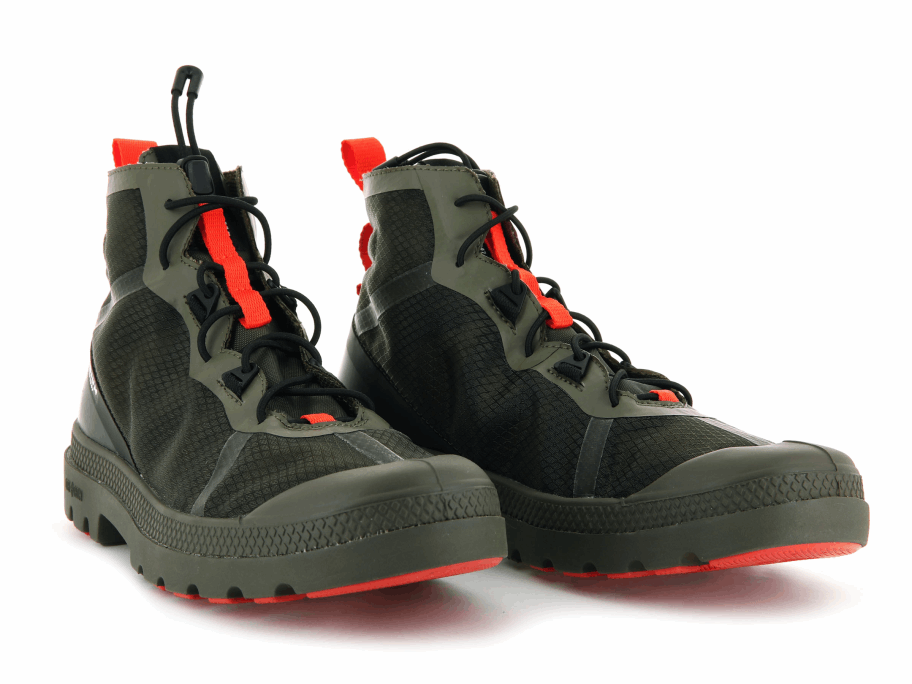 البلاديوم السفر لايت مغامرة الزيتون ليلة