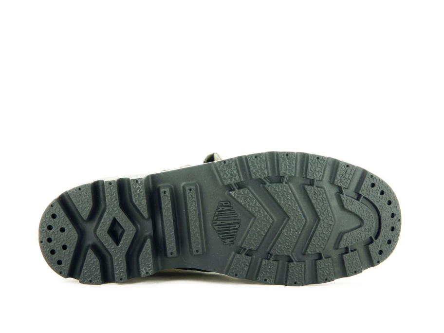 البلاديوم بامبا باغي توريد زيتون يلة