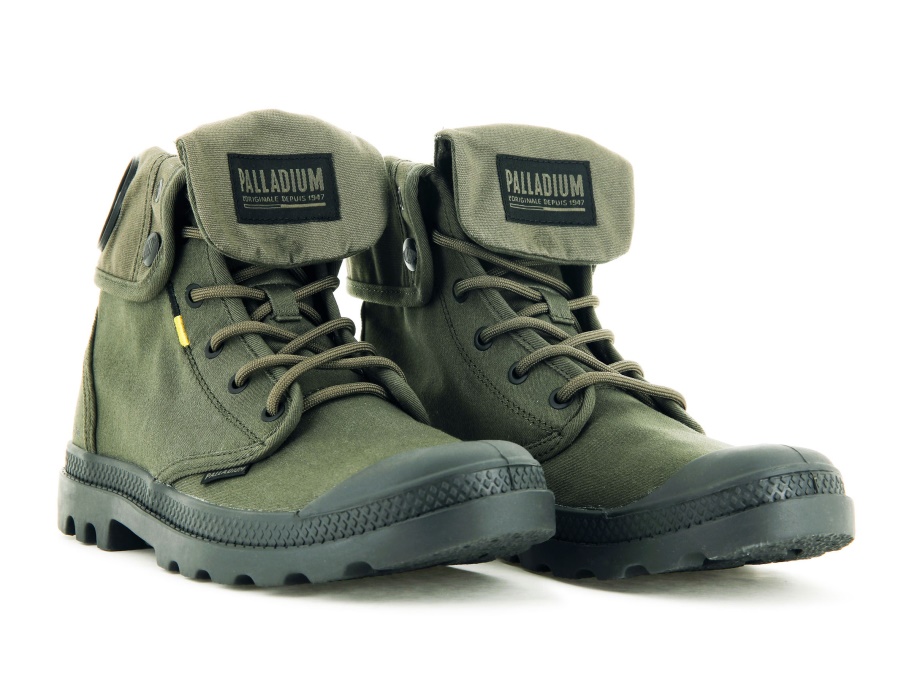 البلاديوم بامبا باغي توريد زيتون يلة